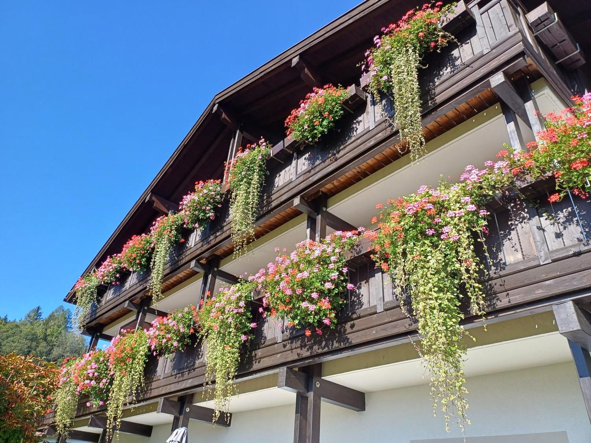 Hölbinger Alm - Apartments Anger Exterior foto